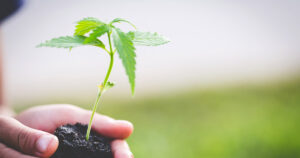 地方における起業支援に欠かせない1つの視点